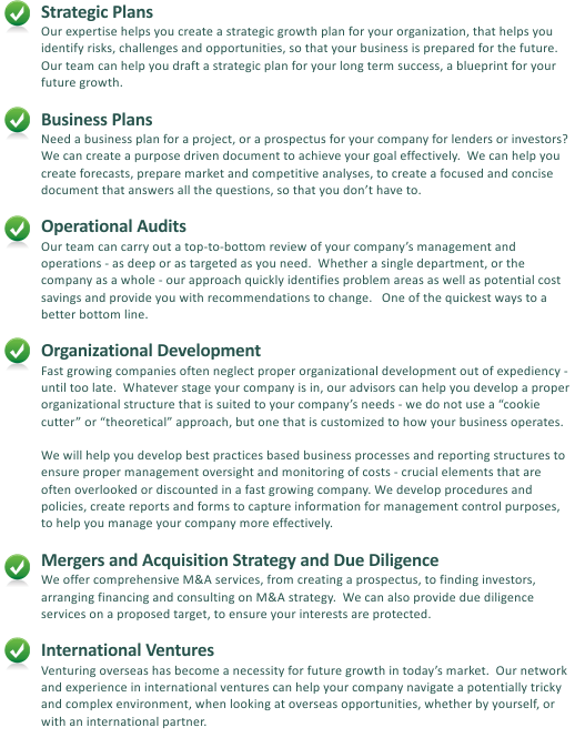 Strategic Plans, Business Plans, M&A Advisory, Due Diligence, Operational Audits, Organizational Development and Financial Controls, International Ventures